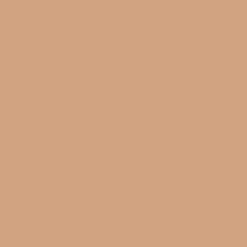 Make-up Pro'Fusion 856 Hazelnut tan