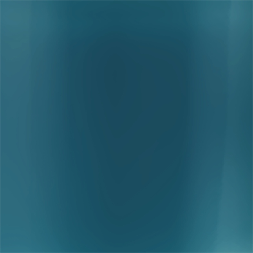 Lak na nechty 676 Biscay bay