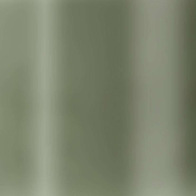 Lak na nechty 684 Khaki